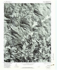 Peaks of Otter Virginia Historical topographic map, 1:24000 scale, 7.5 X 7.5 Minute, Year 1977