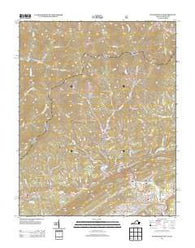 Pennington Gap Virginia Historical topographic map, 1:24000 scale, 7.5 X 7.5 Minute, Year 2013