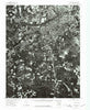 Petersburg Virginia Historical topographic map, 1:24000 scale, 7.5 X 7.5 Minute, Year 1974