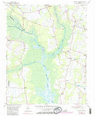 Pleasant Ridge Virginia Historical topographic map, 1:24000 scale, 7.5 X 7.5 Minute, Year 1954