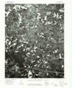 Quinton Virginia Historical topographic map, 1:24000 scale, 7.5 X 7.5 Minute, Year 1974