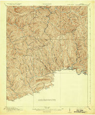 Richlands Virginia Historical topographic map, 1:62500 scale, 15 X 15 Minute, Year 1916