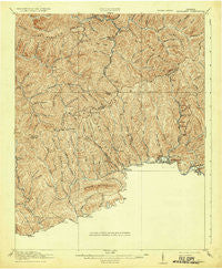 Richlands Virginia Historical topographic map, 1:62500 scale, 15 X 15 Minute, Year 1916