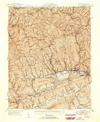 Richlands Virginia Historical topographic map, 1:62500 scale, 15 X 15 Minute, Year 1950