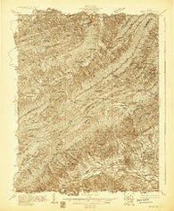 Salem Virginia Historical topographic map, 1:48000 scale, 15 X 15 Minute, Year 1929