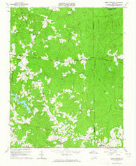 Smoky Ordinary Virginia Historical topographic map, 1:24000 scale, 7.5 X 7.5 Minute, Year 1963