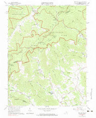 Swift Run Gap Virginia Historical topographic map, 1:24000 scale, 7.5 X 7.5 Minute, Year 1965