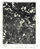 Tunstall Virginia Historical topographic map, 1:24000 scale, 7.5 X 7.5 Minute, Year 1974