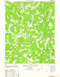 Upper Zion Virginia Historical topographic map, 1:24000 scale, 7.5 X 7.5 Minute, Year 1964
