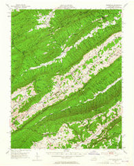 Waiteville Virginia Historical topographic map, 1:62500 scale, 15 X 15 Minute, Year 1951