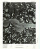Westover Virginia Historical topographic map, 1:24000 scale, 7.5 X 7.5 Minute, Year 1979