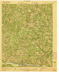 White Plains Virginia Historical topographic map, 1:62500 scale, 15 X 15 Minute, Year 1920