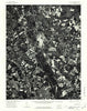 Yellow Tavern Virginia Historical topographic map, 1:24000 scale, 7.5 X 7.5 Minute, Year 1974
