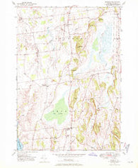 Bridport Vermont Historical topographic map, 1:24000 scale, 7.5 X 7.5 Minute, Year 1949