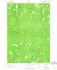 Delectable Mountain Vermont Historical topographic map, 1:24000 scale, 7.5 X 7.5 Minute, Year 1966