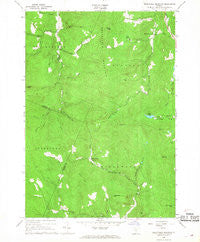 Delectable Mountain Vermont Historical topographic map, 1:24000 scale, 7.5 X 7.5 Minute, Year 1966
