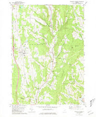 Randolph Center Vermont Historical topographic map, 1:24000 scale, 7.5 X 7.5 Minute, Year 1981