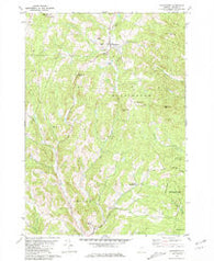 Washington Vermont Historical topographic map, 1:24000 scale, 7.5 X 7.5 Minute, Year 1981