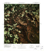 West of Norton Port of Entry Vermont Historical topographic map, 1:25000 scale, 7.5 X 7.5 Minute, Year 1978