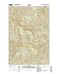 Abernathy Mountain Washington Current topographic map, 1:24000 scale, 7.5 X 7.5 Minute, Year 2013