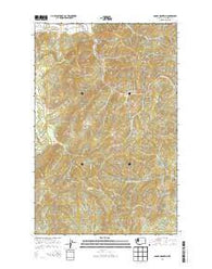 Adams Mountain Washington Current topographic map, 1:24000 scale, 7.5 X 7.5 Minute, Year 2014