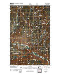 Aeneas Washington Historical topographic map, 1:24000 scale, 7.5 X 7.5 Minute, Year 2011