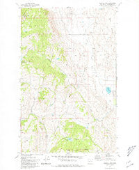 Aeneas Lake Washington Historical topographic map, 1:24000 scale, 7.5 X 7.5 Minute, Year 1980
