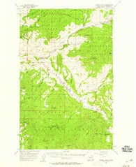 Aeneas Valley Washington Historical topographic map, 1:62500 scale, 15 X 15 Minute, Year 1957