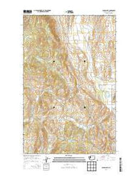 Aeneas Lake Washington Current topographic map, 1:24000 scale, 7.5 X 7.5 Minute, Year 2014