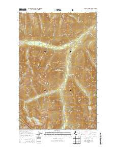 Agnes Mountain Washington Current topographic map, 1:24000 scale, 7.5 X 7.5 Minute, Year 2014