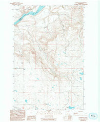 Alameda Flat Washington Historical topographic map, 1:24000 scale, 7.5 X 7.5 Minute, Year 1989