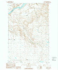 Alameda Flat Washington Historical topographic map, 1:24000 scale, 7.5 X 7.5 Minute, Year 1989
