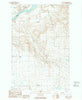 Alameda Flat Washington Historical topographic map, 1:24000 scale, 7.5 X 7.5 Minute, Year 1989