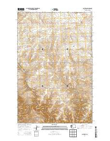 Alstown Washington Current topographic map, 1:24000 scale, 7.5 X 7.5 Minute, Year 2014