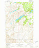 Amber Washington Historical topographic map, 1:24000 scale, 7.5 X 7.5 Minute, Year 1981