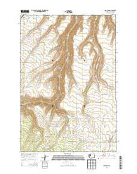 Anatone Washington Current topographic map, 1:24000 scale, 7.5 X 7.5 Minute, Year 2014