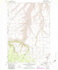 Anatone Washington Historical topographic map, 1:24000 scale, 7.5 X 7.5 Minute, Year 1971