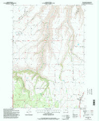 Anatone Washington Historical topographic map, 1:24000 scale, 7.5 X 7.5 Minute, Year 1995