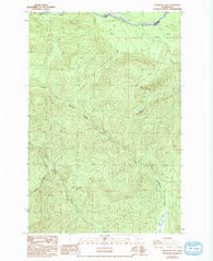 Anderson Lake Washington Historical topographic map, 1:24000 scale, 7.5 X 7.5 Minute, Year 1987