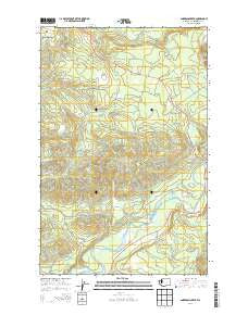 Anderson Creek Washington Current topographic map, 1:24000 scale, 7.5 X 7.5 Minute, Year 2014