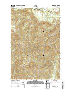 Anderson Lake Washington Current topographic map, 1:24000 scale, 7.5 X 7.5 Minute, Year 2013