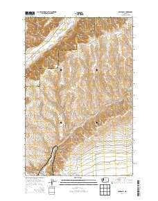 Appledale Washington Current topographic map, 1:24000 scale, 7.5 X 7.5 Minute, Year 2014