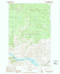 Armstrong Creek Washington Historical topographic map, 1:24000 scale, 7.5 X 7.5 Minute, Year 1989