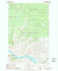 Armstrong Creek Washington Historical topographic map, 1:24000 scale, 7.5 X 7.5 Minute, Year 1989