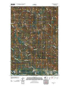 Ashford Washington Historical topographic map, 1:24000 scale, 7.5 X 7.5 Minute, Year 2011