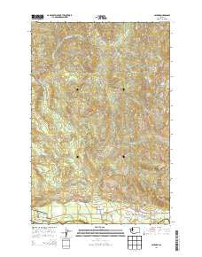 Ashford Washington Current topographic map, 1:24000 scale, 7.5 X 7.5 Minute, Year 2014