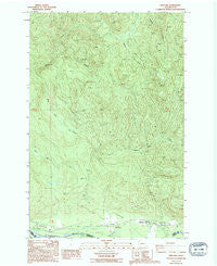 Ashford Washington Historical topographic map, 1:24000 scale, 7.5 X 7.5 Minute, Year 1987