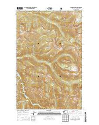 Ashnola Mountain Washington Current topographic map, 1:24000 scale, 7.5 X 7.5 Minute, Year 2014