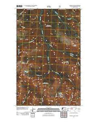 Ashnola Pass Washington Historical topographic map, 1:24000 scale, 7.5 X 7.5 Minute, Year 2011