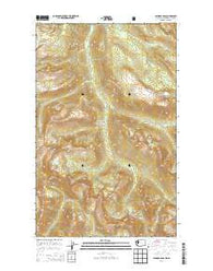 Ashnola Pass Washington Current topographic map, 1:24000 scale, 7.5 X 7.5 Minute, Year 2014